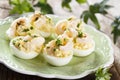 Egg appetizer with herbs and shrimps Royalty Free Stock Photo