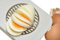 Hard Boiled Egg And Cutter Royalty Free Stock Photo