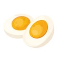 Hard boiled egg halves flat vector illustrations