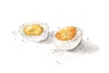 Hard boiled egg with pepper isolated on white background. Hand drawn watercolor illustration Royalty Free Stock Photo