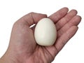 Hard boiled peeled chicken egg in person hand