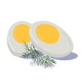 Hard boiled sliced broken egg with dill twig flat style with shadow isolated on white background. Royalty Free Stock Photo