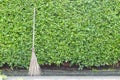 Hard broom Place it under the tree Royalty Free Stock Photo