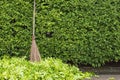 Hard broom Place it under the tree Royalty Free Stock Photo