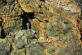 Hard brown rocks, landscape. Stone, rocks background Royalty Free Stock Photo