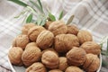 Hard brown walnut fruit in shell Royalty Free Stock Photo