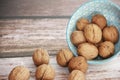 Hard brown walnut fruit in shell Royalty Free Stock Photo