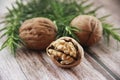 Hard brown walnut fruit in shell Royalty Free Stock Photo
