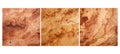 hard burl maple wood texture grain Royalty Free Stock Photo