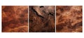 hard burl walnut wood texture grain Royalty Free Stock Photo