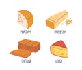 Hard Cheese Is Aged, Dense, And Crumbly With A Strong Flavor. Examples Include Parmesan, Cheddar, Maasdam And Gouda