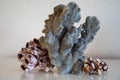 Hard dead blue and dark coral stones, underwater nature background