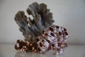 Hard dead blue and pink coral stones, underwater nature background