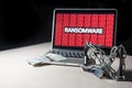 Hard disk locked with monitor show ransomware cyber attack