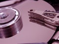 Hard disk opened Royalty Free Stock Photo