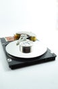 Hard Disk Platter Vertical Royalty Free Stock Photo