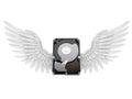 Hard drive with angel wings