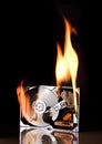 Hard drive on fire Royalty Free Stock Photo