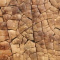 Hard fruit shellcalabash texture used as decorative tiles