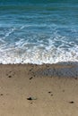 Hard-packed sandy beach with shells and pebbles brought in by the tide of ocean waters