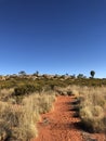 Hard spinifex Royalty Free Stock Photo