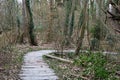 Hard stone walking path through the woods of the Kinsendael nature reserve, Uccle, Belgium