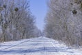 Hard winter snowy glacial rural road and frozen trees with hoarfrost on country landscape background Royalty Free Stock Photo