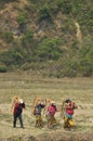 Village in the vicinity of Pokhara. Peasant women carry firewood