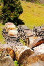 Hard Work. Dry Fireplace Wood Pile to Split