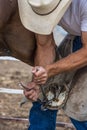 Horse Ferrier Trimming Hooves Royalty Free Stock Photo