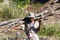 Hard working man carrying a tree trunk - MADAGASCAR Royalty Free Stock Photo