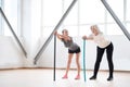 Hard working pleasant women training together Royalty Free Stock Photo