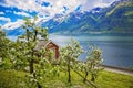 Hardanger fjord in may, Norway