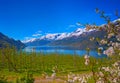 Hardanger fjord in Norway Royalty Free Stock Photo