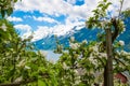 Hardangerfjord gardens