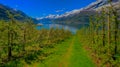 Hardangerfjord in Norway