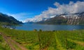 Hardangerfjord in Norway