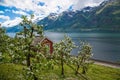 The Hardangerfjord Royalty Free Stock Photo