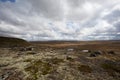 Hardangervidda National Park Royalty Free Stock Photo