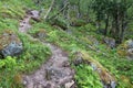 Hardangervidda, Norway