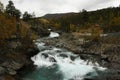 A wild torrent in Norway Royalty Free Stock Photo