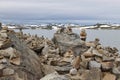 The Hardangervidda Plateau in Hallingskarvet National Park, Norway, Europe, with lake Ustevatn. Royalty Free Stock Photo