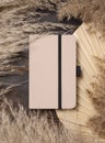 Hardcover texbook on dry beige palm leaf near pampas grass top view, mockup