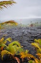 Hardened lava rock