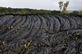 Hardened lava rock