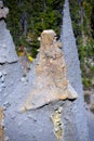 Hardened Rock Fossil Fumeroles