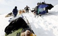 Hardest work and action poor- Greenland sledge dogs running in deep snow.