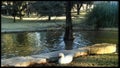 Hardin Simmons University Campus Scenery