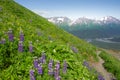 Harding Ice field Trail, Seward, Alaska