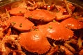 hardshell crab pot